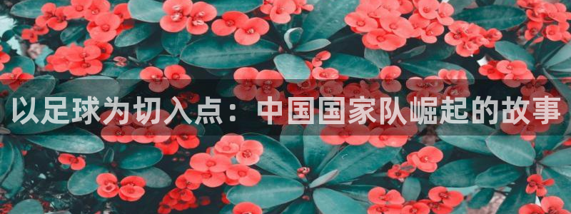 必威betway西汉姆联