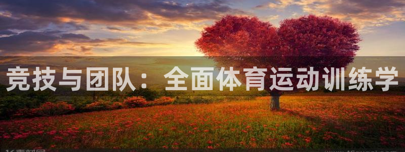 betway西汉姆联